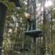 Schüler im Kletterwald