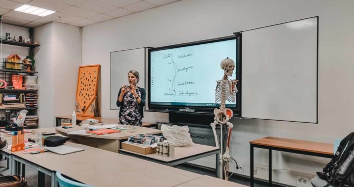 Anatomie ist ein wichtiger Bestandteil der Ergotherapie-Ausbildung